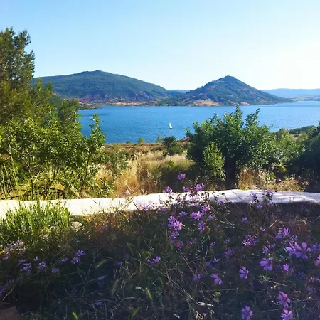 Les Tresors Du * Celles (Languedoc-Roussillon)